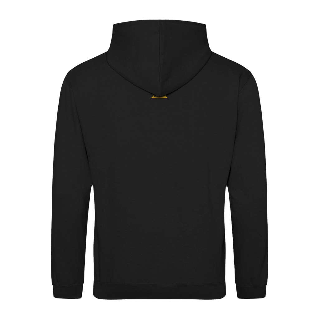 Hoodie "Lernen s' a bisserl Geschichte"